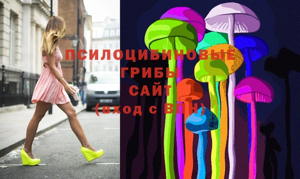 спиды Алзамай