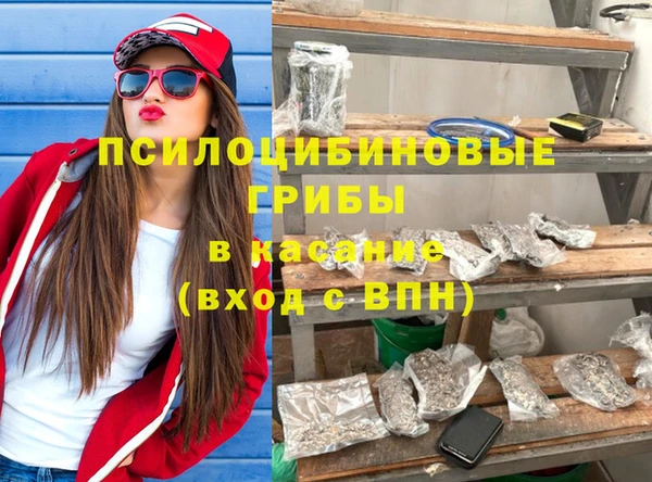 гидра Алексеевка