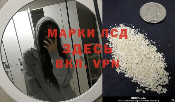 гидра Алексеевка