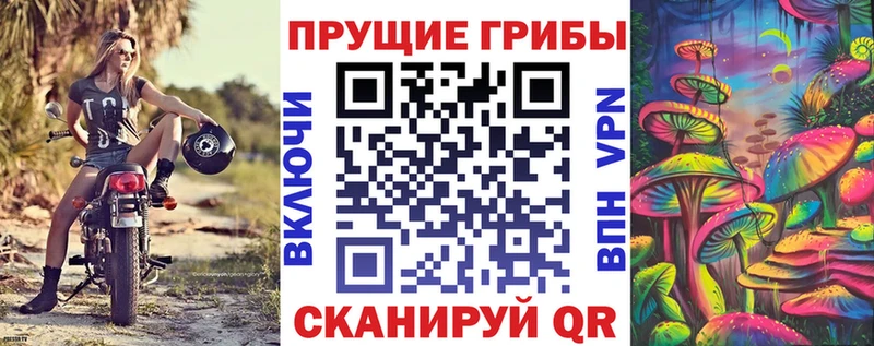Псилоцибиновые грибы Cubensis  где продают наркотики  Жирновск 